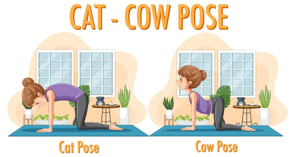 Cat-Cow Stretch